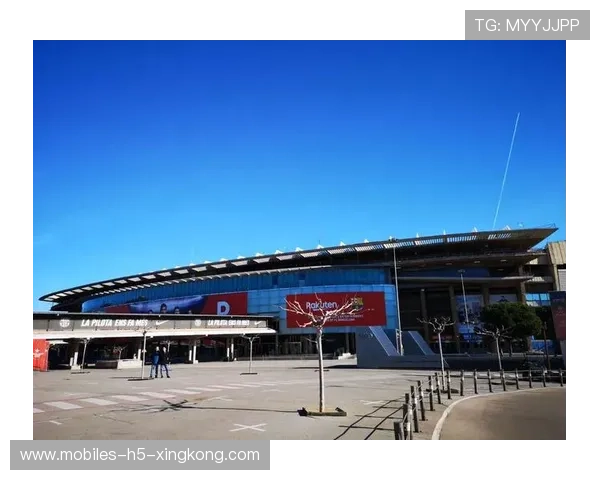 诺坎普票务政策对球迷社群影响的实地研究