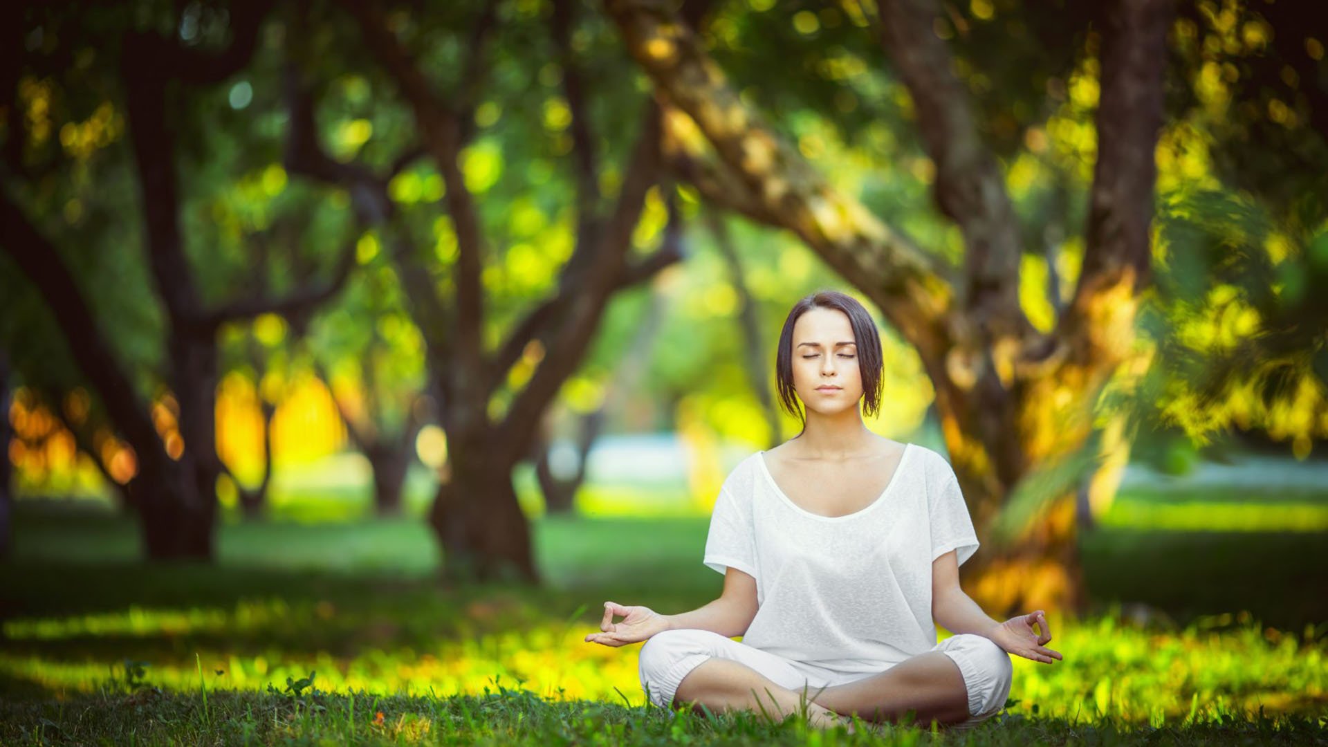 2026年羽毛球全国联赛赛后数据与训练建议报告发布,2020年羽毛球全国锦标赛竞赛规程